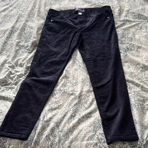 Democracy Velvety Navy Corduroy Pants